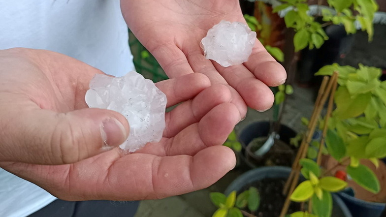 Bis zu sechs Zentimeter große Hagelkörner haben am Mittwochmittag in Großdrebnitz bei Bischofswerda Schaden an zahlreichen Fahrzeugen und Scheiben angerichtet.