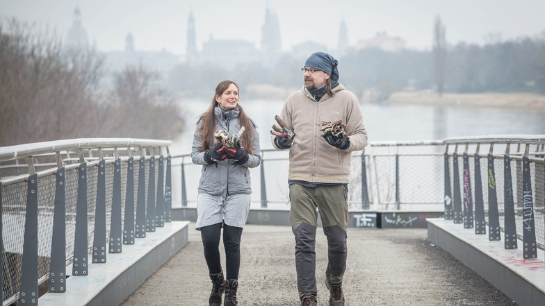 Louise Hummel-Schröter von "Parents vor Future Dresden" und Ronny Geißler von "Wir lieben Elbe" säubern die Molenbrücke von Feuerwerkskörpern der Silvesternacht. Sie wünschen sich ein Silvester ohne Böller.