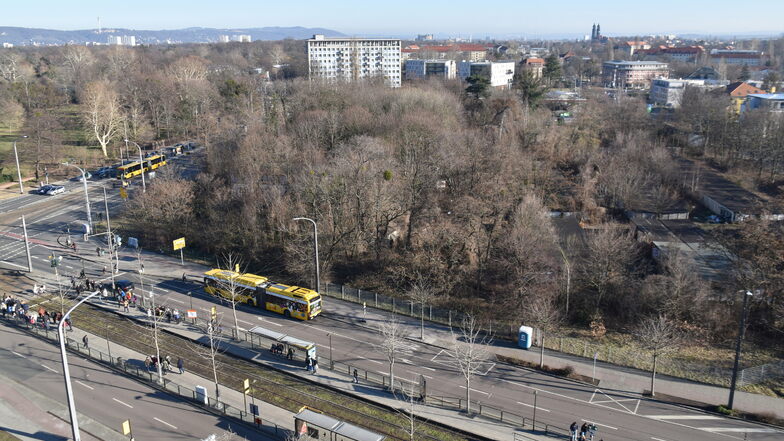 Jetzt gibt es für das Grundstück zwischen Lennéplatz, Lennéstraße und Gellertstraße konkrete Pläne.