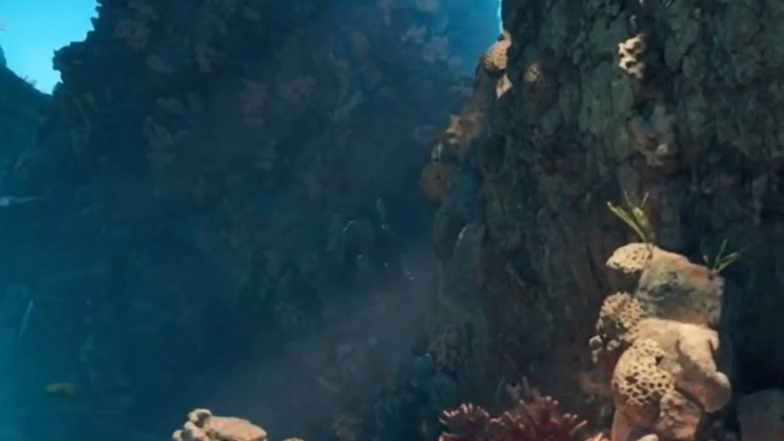Das Bild stammt aus einem der beiden Trailer zum Hologramm-Konzert. Die Gäste gehen am 17. und 18. März auf eine Reise in die Unterwasserwelt.
