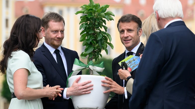 Ein Apfelbaum für den Präsidenten: In Moritzburg übergab Ministerpräsident Michael Kretschmer (CDU, 2.v.l.) Emmanuel Macron (2.v.r.) einen jungen Baum für den Schlossgarten von Versailles.
