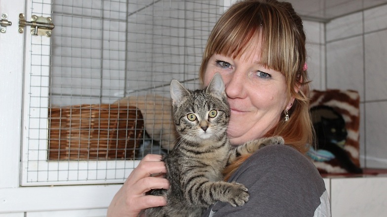 Schichtleiterin Simone Kühn mit einer der fünf Katzen, die vor ein paar Wochen in Ralbitz-Rosenthal ausgesetzt wurden.