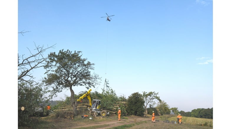 Landeplatz der fliegenden Bäume: Auf dem Acker bei Somsdorf setzt der Helikopter das gefällte Holz ab. Die Bodencrew übernimmt die weitere Bearbeitung.