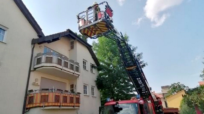 Die Drehleiter aus Radebeul hatten die Moritzburger Feuerwehrleute angefordert, um den Vogel zu befreien.
