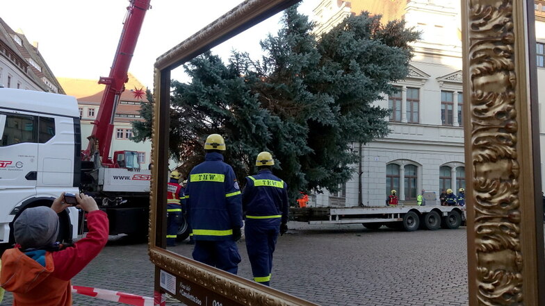 THW beim Weihnachtsbaum-Aufstellen in Pirna, hier 2022: Der Baum-Einsatz ist schon seit vielen Jahren Tradition.