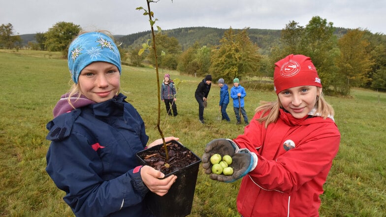 Linda und Jördis pflanzten zusammen mit den anderen Schülern der fünften Klassen Wildapfelbäume für den Geisingberg.