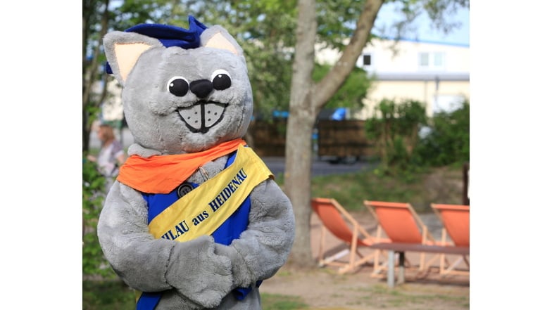 Kater Schlau, ist das Maskottchen der Stadt Heidenau. Für ihn gibt es in diesem Jahr viel zu feiern, denn Heidenau hat seit 100 Jahren Stadtrecht.