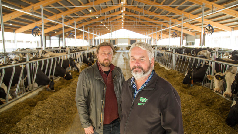 Die Vorstände Matthias Rompe (links) und Roland Lätsch zeigen den neuen Stall in Nieder Seifersdorf. Hier finden 318 Milchkühe in vier Gruppen Platz.