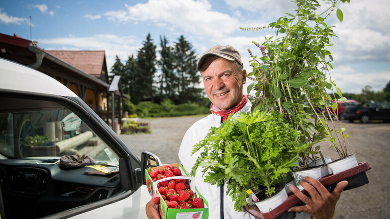 Erdbeeren aus Hosterwitz, Kräuter aus Mobschatz; Privatkoch Kai Kochan hat sein Auto mit regionalen Produkten für die Hochzeit vollgeladen.