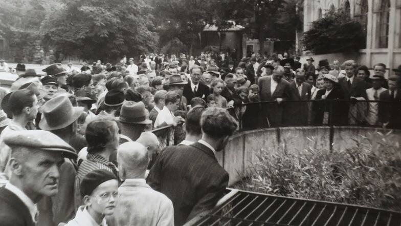 Zur Wiedereröffnung des Zoos im Juni 1946 kamen Tausende Besucher.