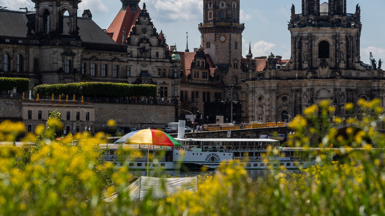 In Dresden würden zu viele Wohnungen als Ferienwohnungen genutzt. Dagegen gibt es Protest.