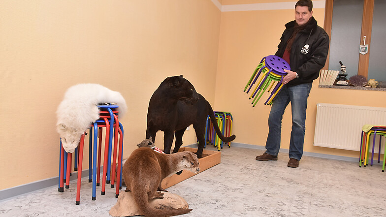 In der alten Zooverwaltung am Haag entsteht ein Zooschul-Lokal. Bis zu 30 Kinder sollen hier unter normalen Bedingungen ohne Corona-Zwänge einmal Platz finden können. Zoo-Chef Eugène Bruins hat schon die passenden Hocker.