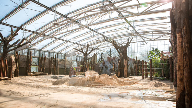 Im Dresdner Zoo ist nur das neue Afrikahaus mit einer Brandmeldeanlage ausgestattet.