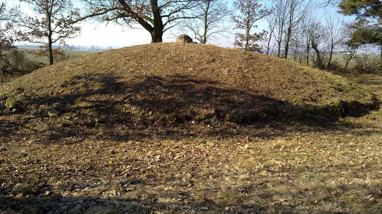 So frei geschnitten sah man das Hügelgrab zuletzt 2011.