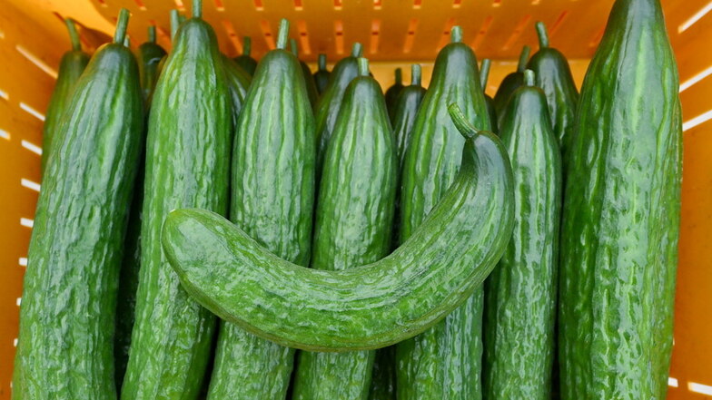 Gemüse wird billiger: Die Inflation in Sachsen lässt nach