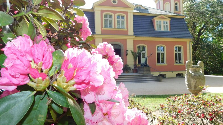 Dieses Jahr besteht der Landschaftspark Kromlau seit 180 Jahren. Zu Pfingsten wird das 58. Park- und Blütenfest gefeiert. Bei dem ist der Park samt Schloss, Kavalierhaus, Seen, Brücken und Wegen das Festareal. Überall wird Unterhaltung geboten.