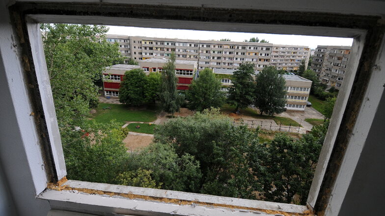 Blick ins Grüne - 2009 entstanden aus dem Fenster eines Abrissblocks im Peter-Liebig-Hof.