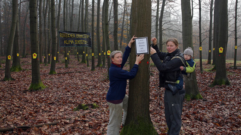 Annett Jäger (li.) und Johanna Marianna Odrich protestierten in einem Walstück, weil die Roteichen hier weichen und abgeholzt werden sollen – eigentlich gesunde Bäume.