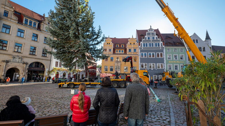 Mit schwerer Technik wurde am Samstag der Weihnachtsbaum auf dem Meißner Marktplatz aufgestellt.