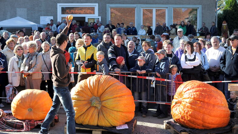 Das Kürbisfest in Ludwigsdorf ist immer ein Anziehungspunkt für Kürbiszüchter und Schaulustige.