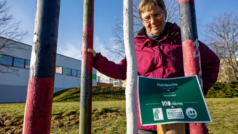 Verbogene Schilder, gekappte Halteseile: Susanne Brand vom Umweltzentrum ärgert sich über Vandalismus an neu gepflanzten Bäumen.