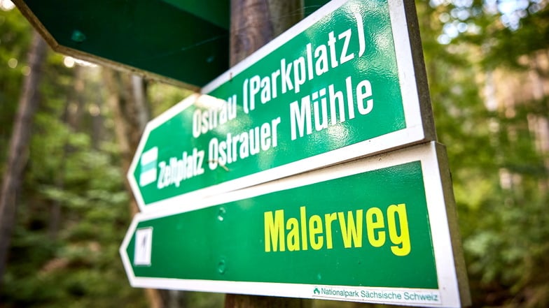 Der Malerweg ist wohl der bekannteste Wanderweg in der Sächsischen Schweiz. Die 70-Jährige und ihr Begleiter waren auf dem Stück zwischen Krippen und Reinhardtsdorf unterwegs.