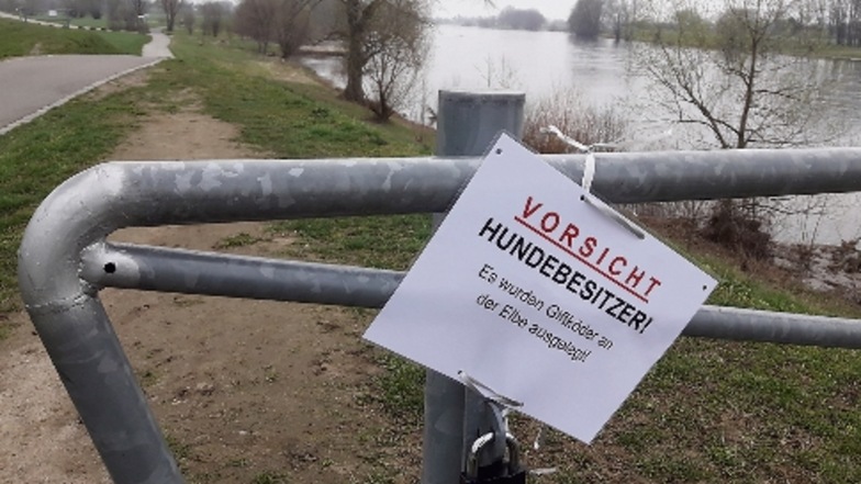 eine Hundebesitzer warnt mit einem Schild vor Giftködern an der Elbe. 