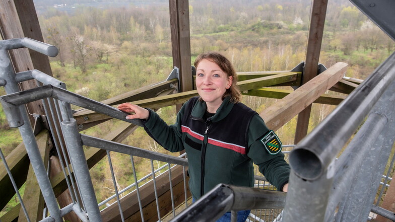 Teresa Brose, Pressesprecherin der Verwaltung des Naturschutzgebietes Königsbrücker Heide, steigt auf den Haselbergturm. Von hier aus bietet sich ein wunderbarer Blick auf das Wildnisgebiet.