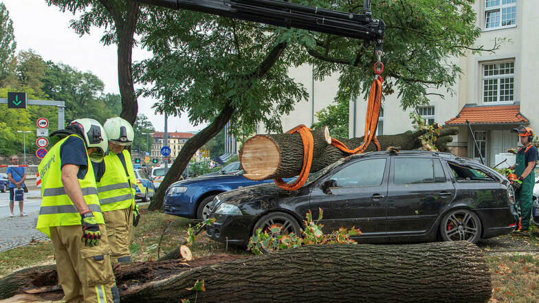 Nach einem heftigen Gewitter heben Feuermännern einen umgestürzten Baum von einem stark beschädigten Auto auf der Stauffenbergallee.