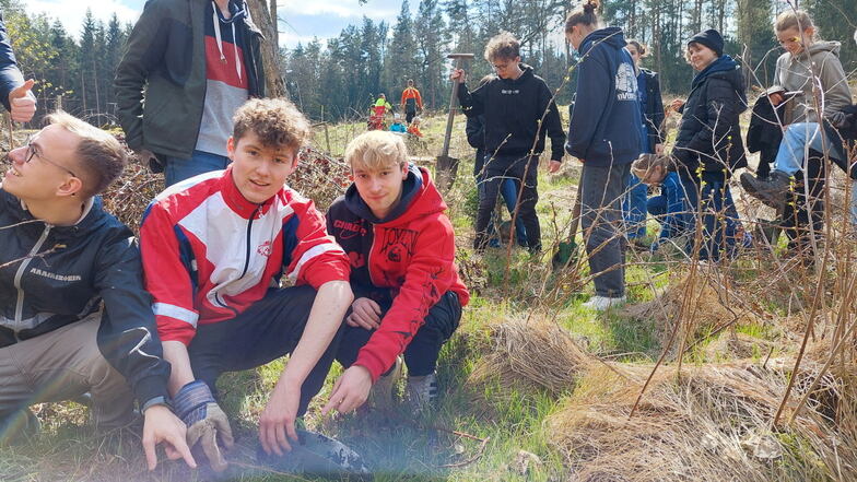 Pflanzaktion kurz vor den Prüfungen: Schüler des Humboldt-Gymnasiums pflanzten in der Heide Bäume.