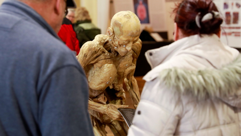 Gut besucht war die Ausstellung "Echte Körper" am Wochenende im Schützenhaus Ebersbach.
