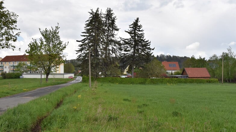Hier am Stadtrand von Dippoldiswalde wollte eine Eigentümerin Baurecht für drei Eigenheime erreichen. Der Rat diskutierte darüber kontrovers.