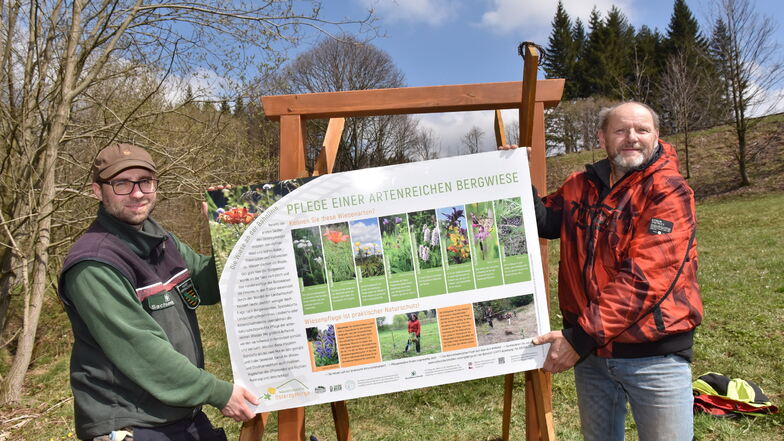 Denny Werner (l) ist Sachbearbeiter für Waldökologie und Naturschutz im Forstbezirk Bärenfels. Zusammen dem Altenberger Bauamtsleiter Andreas Gabler bringt er eine Informationstafel zu Artenbestimmung auf der Bergwiese an.