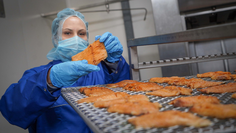 Franziska Scapan ist Technologin für den Bereich Fisch bei der Bautzener Firma Meisters. Hier begutachtet sie die ersten frisch geräucherten Karpfenfilets.