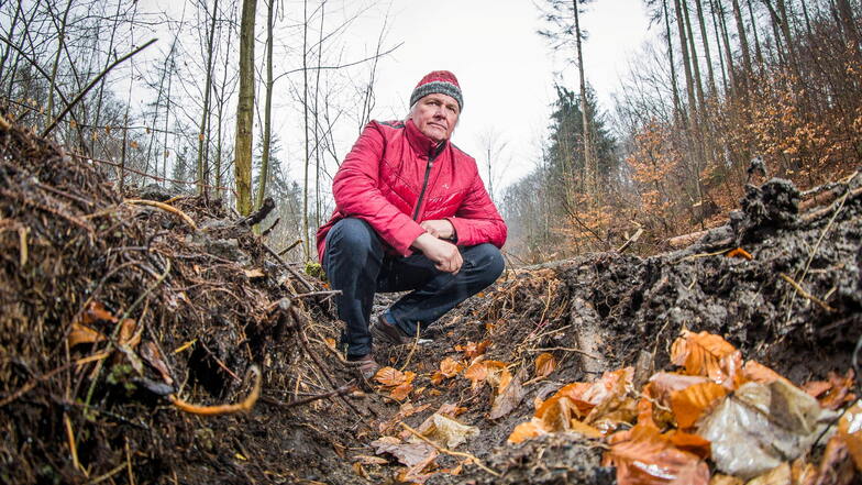 Steffen Jakob, Vorsitzender des Vereins WunderLand, ärgert sich über die tiefen Fahrspuren im Waldboden im Seifersdorfer Tal. Von bodenschonenden Waldarbeiten könne keine Rede sein, sagt der Wachauer.