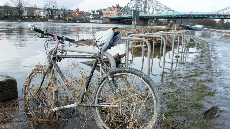 Das Hochwasser in Dresden zieht sich zurück - und legt Verborgenes frei.