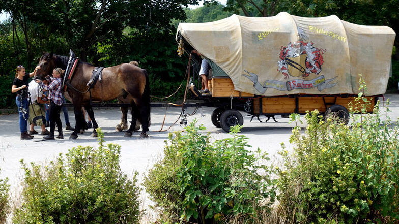 Theater Spielbrett auf Tour - das Pferdegespann, das einen Planwagen mit Requisiten, Kostüme, Utensilien und Technik zieht, auf der Fahrt durch Pirna Zehista
