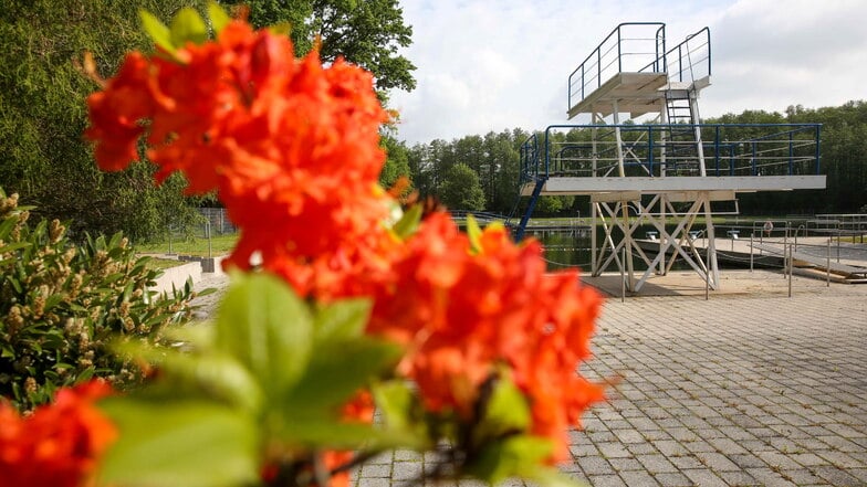 So leer ist es hier im Sommer selten: das Walkmühlenbad Pulsnitz.