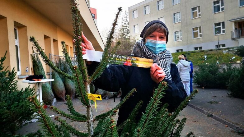 Daniela Kleeberg, Standortleiterin, Malteser Krankenhaus St. Carolus, mit einem Weihnachtsbaum.