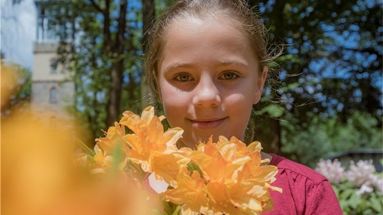 Auch Hannah besuchte schon die Rhododendren, wie Tausende andere.