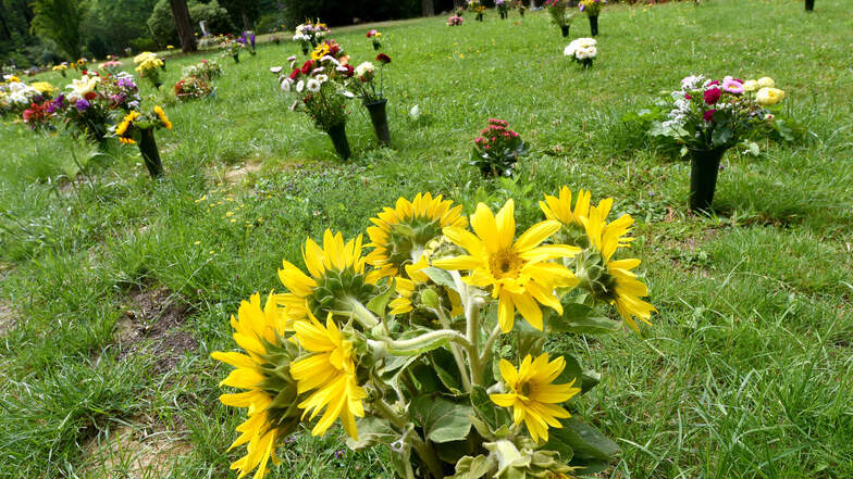 Blumenvasen auf der Wiese des Zittauer Urnenhains - eine Grabschändung?