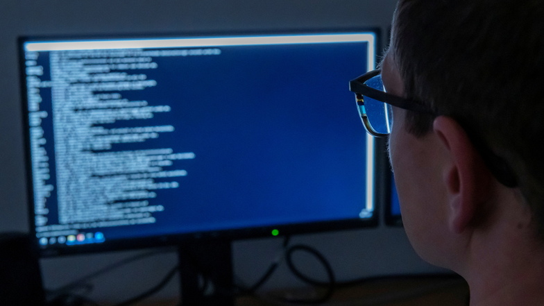 Ein Polizeibeamter durchforstet einen Computer nach Quellen von Kinderpornografie.