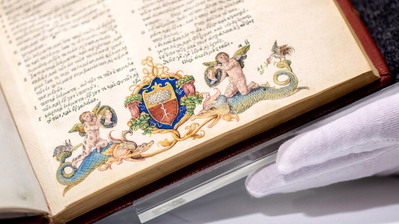 Entdeckt wurde das kleine Bild, das von Albrecht Dürer stammen soll, bei der Erforschung von Drucken des Verlegers Aldus Manutius in der Landesbibliothek Oldenburg.