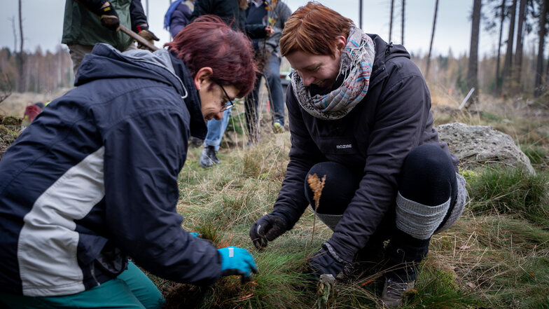Kanzlerin Karin Hollstein und Umweltmanagerin Ulrike Bobek packen mit an.