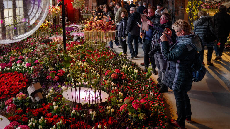 Besucher im Farbrausch. Sie genießen die Blüten im ,:. Palais im Großen Garten.
