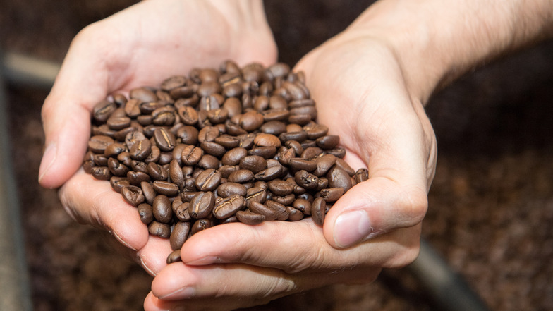 32,99 Euro pro Kilo - die wahren Kaffeekosten.