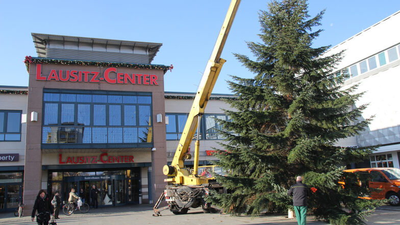 Am Montag wurde vom Städtischen Bauhof mit Kran-Unterstützung der Firma Kotal der Weihnachtsbaum auf dem Lausitzer Platz aufgestellt. Es handelt sich um eine 15 Meter hohe Rotfichte. Gekappt wurde sie in Seidewinkel auf einem Privatgrundstück, dessen Eige