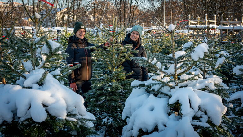Sarah und Carolin Schubert aus Hartha gehen jedes Jahr zusammen Weihnachtsbäume für ihre Familien kaufen. Vom Schnee auf den Bäumen lassen sich die Schwestern die gemeinsame Tradition nicht vermiesen.