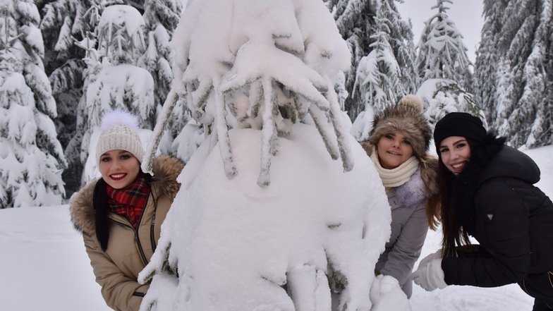 Lisa-Marie, Bianka und Lisa waren zu Fuß unterwegs im Winterwald bei Zinnwald. 