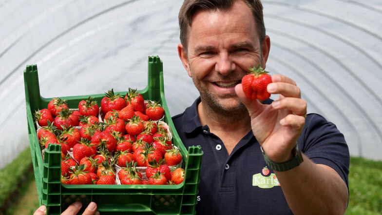 Robert Dahl ist Inhaber der Erdbeerhöfe.
